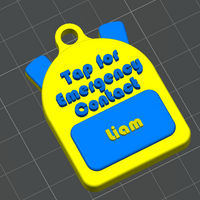 Tap For Emergency Keychains